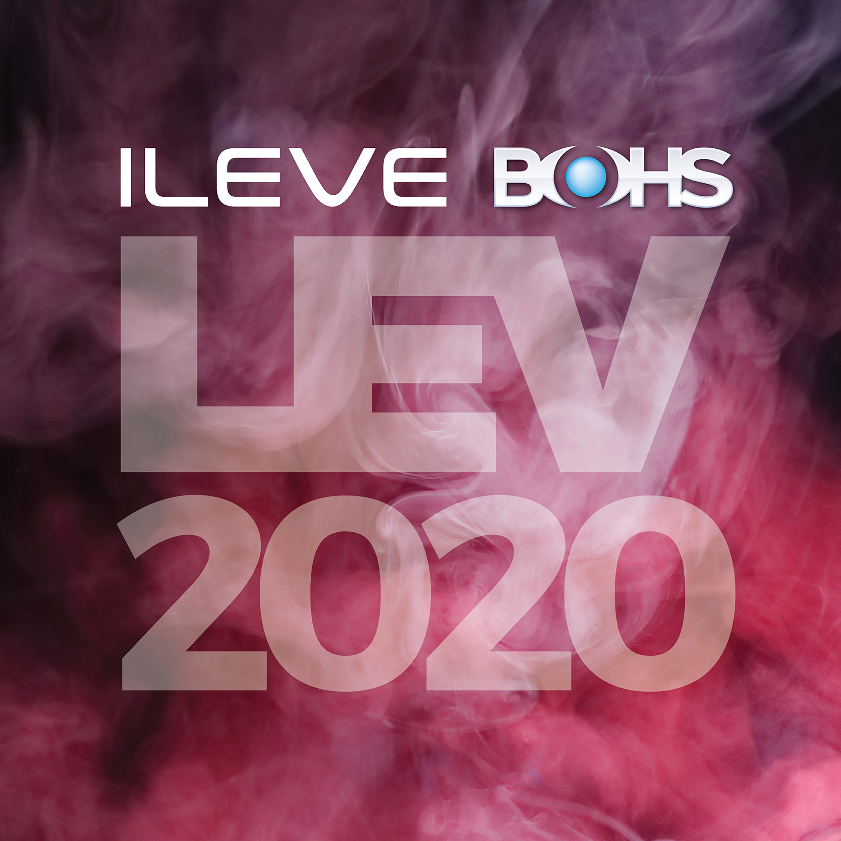 LEV - Extracting the Best Practices 2020